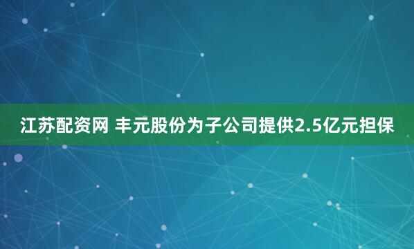 江苏配资网 丰元股份为子公司提供2.5亿元担保