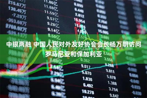 中银两融 中国人民对外友好协会会长杨万明访问罗马尼亚和保加利亚