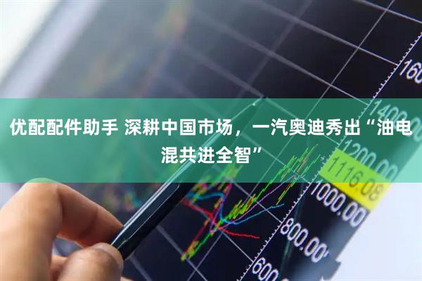 优配配件助手 深耕中国市场，一汽奥迪秀出“油电混共进全智”