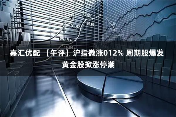 嘉汇优配 【午评】沪指微涨012% 周期股爆发 黄金股掀涨停潮