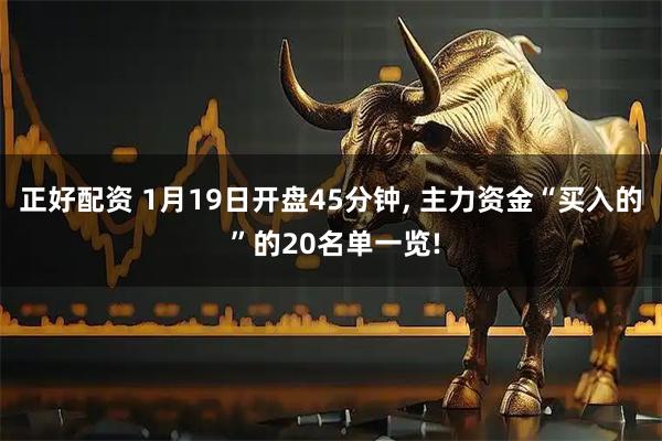 正好配资 1月19日开盘45分钟, 主力资金“买入的 ”的20名单一览!